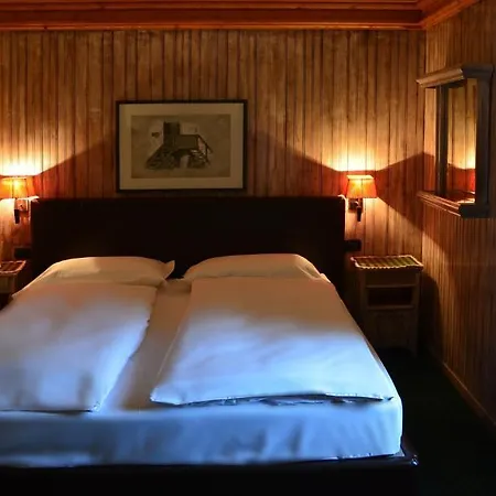 Alpina Hotel 3*
