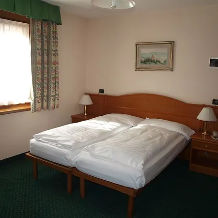 Hotel Alpina 3*