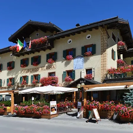 Alpina Hotel 3*